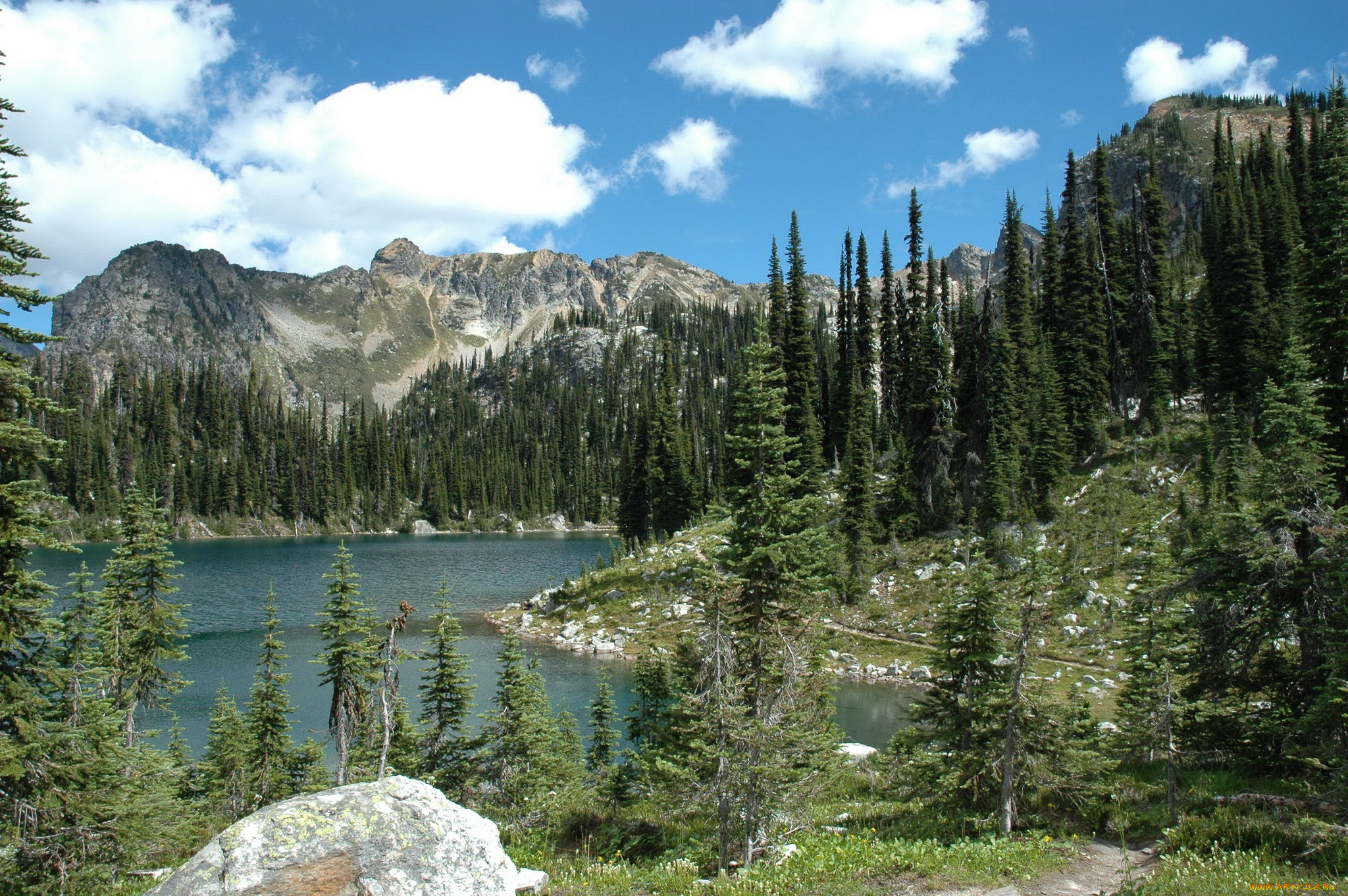 mount, revelstoke, national, park, canada, , , , , 